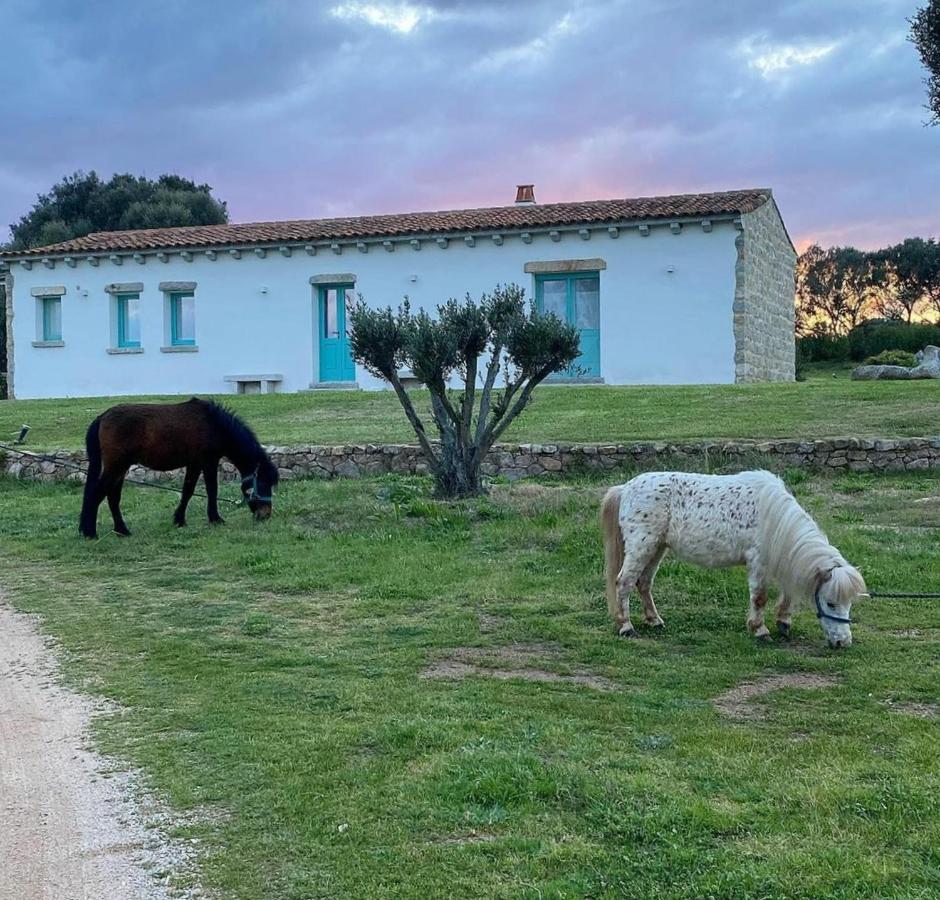 B&B Li Tauli Arzachena Exterior foto