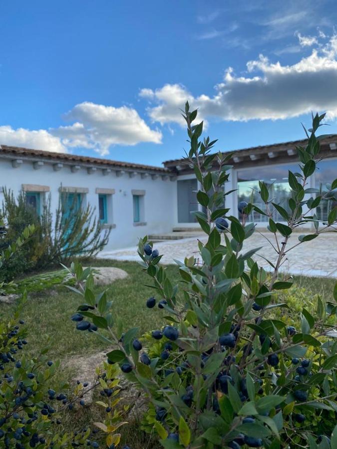 B&B Li Tauli Arzachena Exterior foto