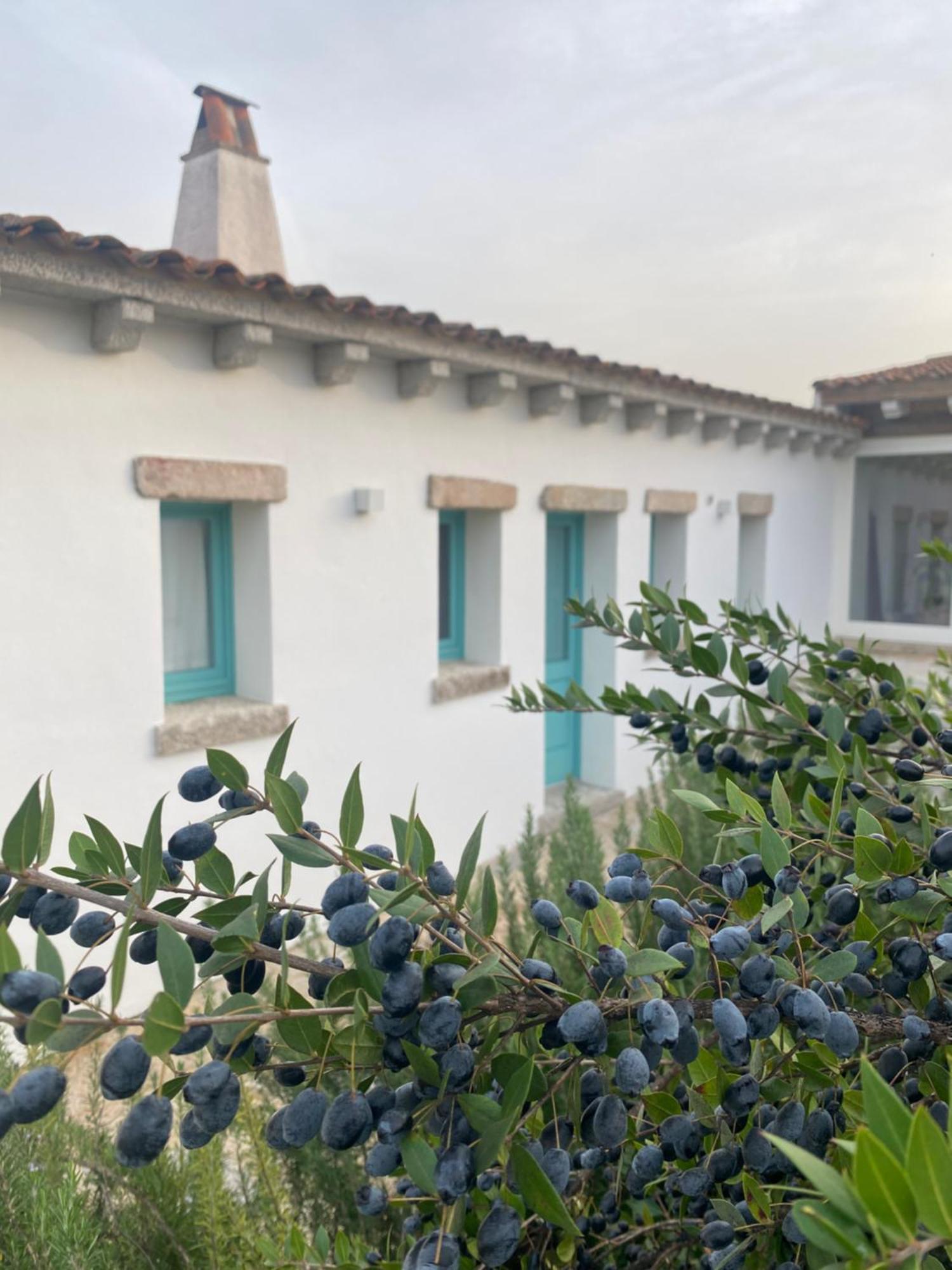 B&B Li Tauli Arzachena Exterior foto